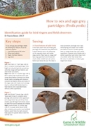How to sex and age grey partridges