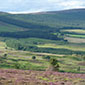 Snaring in Scotland