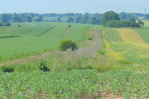 Improve habitat