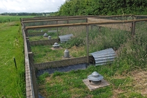 Rearing pens