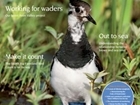 What’s inside the autumn issue of Gamewise?