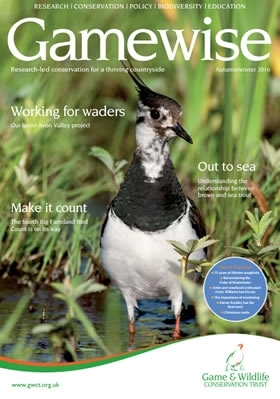 Gamewise Aut 16