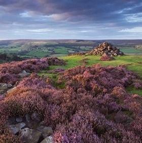 Moor