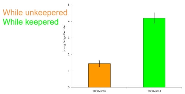 Langholm Graph