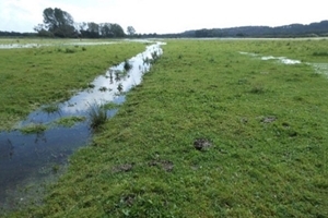Avon Valley habitat