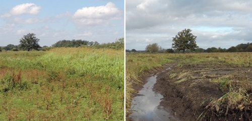 The same location before (left) and after (right) a ditch has been re-dug and vegetation cleared The same location before (left) and after (right) a ditch has been re-dug and vegetation cleared