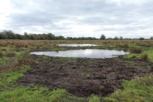 In-field pools In-field pools