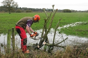 Sparsholt chainsaw Sparsholt chainsaw