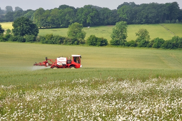 Sprayer flower margin