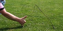 Fox snaring