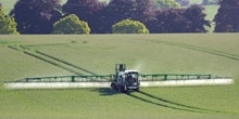 Neonicotinoids