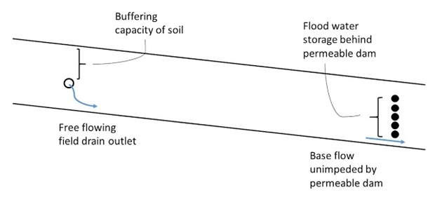 Flood Management 111016