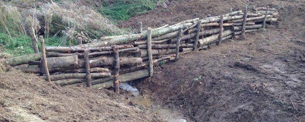 Log Dam 300916