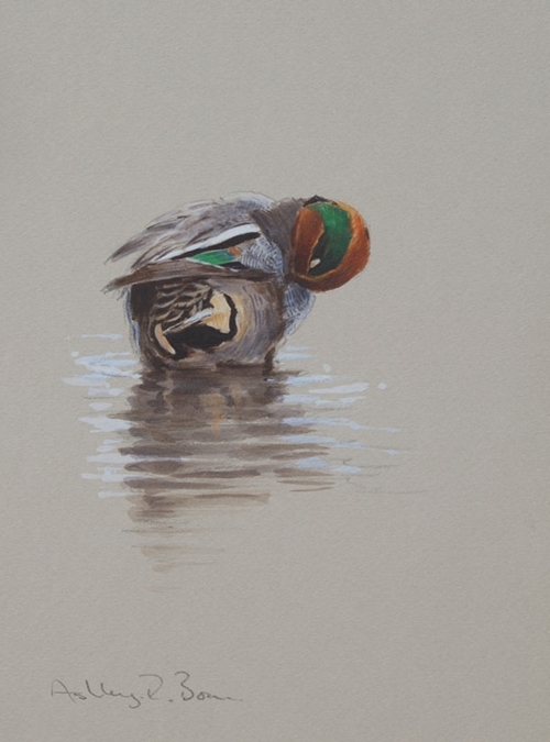 Teal Sketch 8 Teal Sketch 8