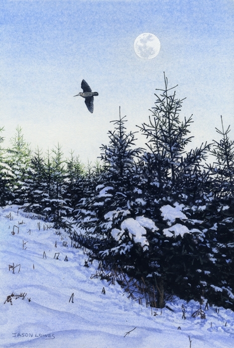Woodcock Moon Woodcock Moon