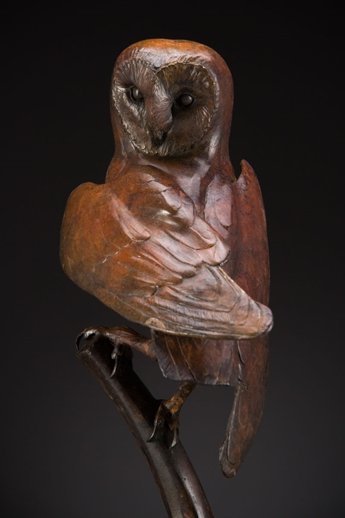 Barn owl Barn owl