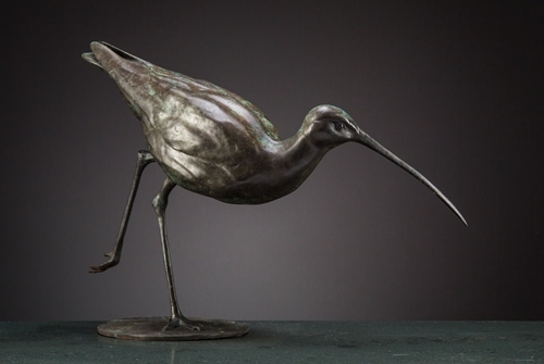Curlew Curlew