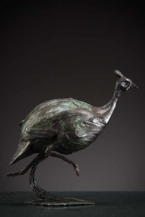 Guinea fowl Guinea fowl