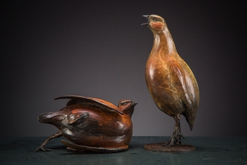 Partridge Partridge
