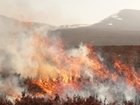 RSPB ‘twisted data’ on heather burning?