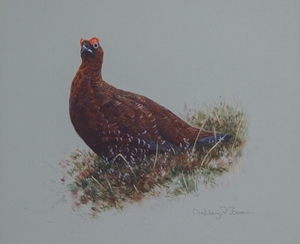 The Northern Wildlife Art Exhibition will include work by Ashley Boon