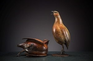 The Northern Wildlife Art Exhibition will include work by Ian Greensitt