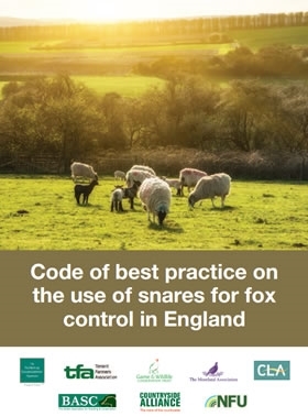 Snaring Best Practice Code