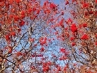 Autumn at Auchnerran