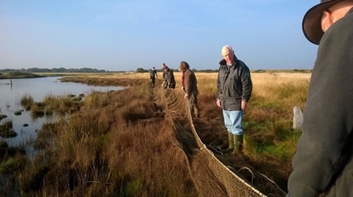 Setting The Cannon -net