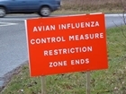 UK free from Avian Influenza