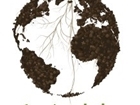 World Soil Day - Improving Soils to Boost Crop Productivity