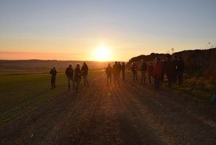 PARTRIDGE Sunset