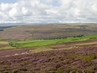 GWCT Announces Winner Of 2016 Grand Grouse Draw