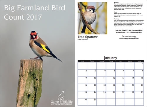 BFBC Calendar