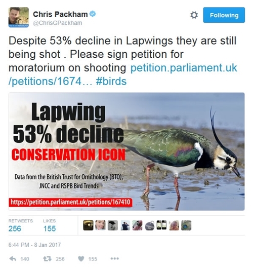 Packham Lapwing Tweet