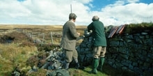 Response to the viewpoint paper ‘Environmental impact of grouse shooting’