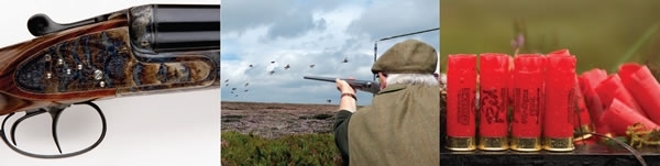 Gun -Draw Gun -Draw