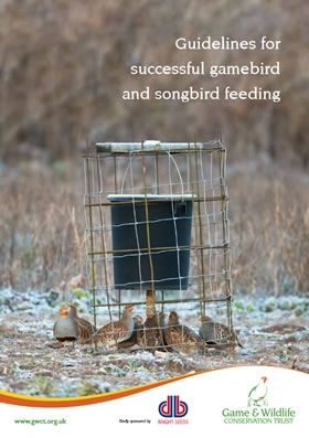 Feeding Guidelines
