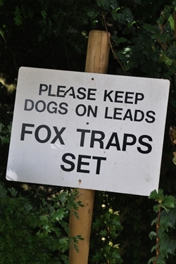 Fox trap sign