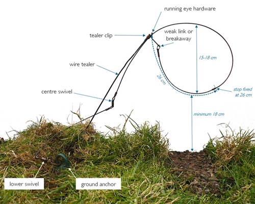 Components of a well-designed snare - Game and Wildlife