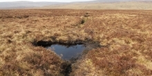 Drainage, water quality and flood risk