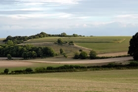 Farmland