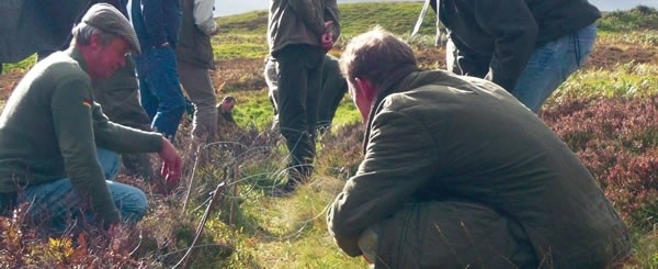 Snaring Snaring