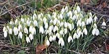 February