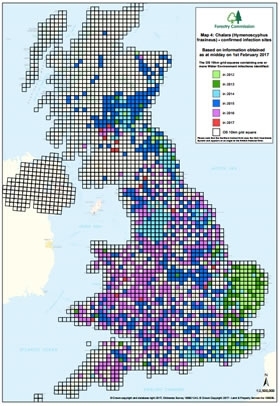 Ash -dieback -map