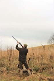 Shoot