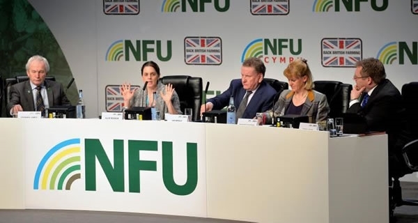 NFU17