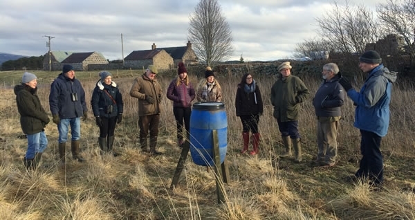 Big Farmland Bird ID Day GWSDF Auchnerran