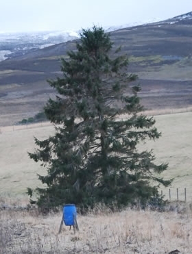 Blue Feed Hopper