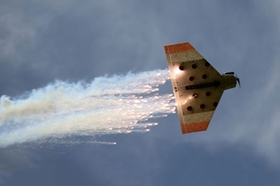 Gnat shoot Gnat shoot